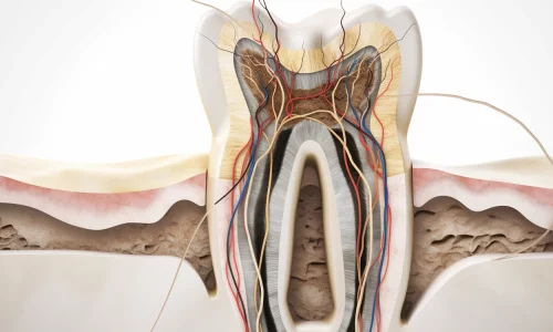 Czy dentysta to doktor?